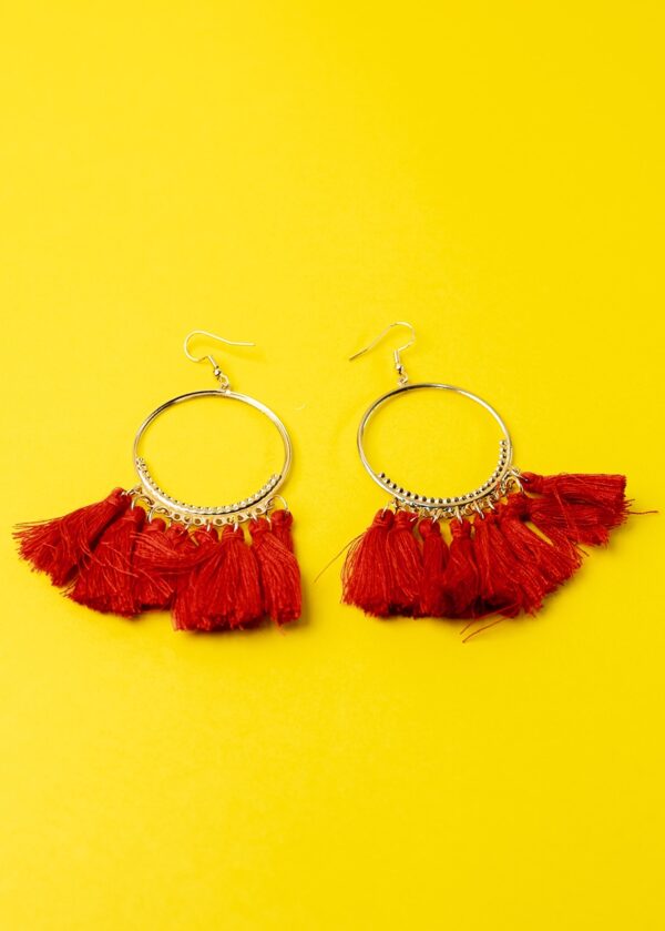 Stainless Steel Earrings (with Red Tassles)